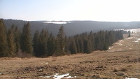 martinlitviak