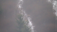 1302940773.587872.JPG
