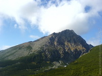 1256632484.865207.jpg