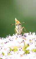 1219926924.511073.jpg