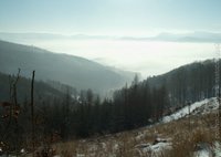 1219927182.462289.JPG