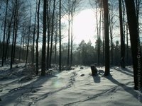 1219927312.789955.JPG