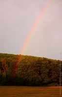1219927440.017764.jpg