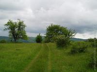 Príroda