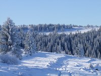 1300127330.165957.JPG