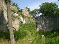 miropolovnik