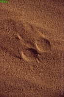 1121432926.874583.jpg