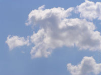 1165158909.838321.jpg