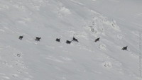 1341549928.831245.jpg