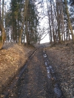 1269709255.056835.JPG