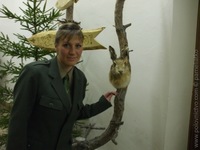 1200953604.269834.jpg