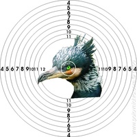 1276685945.821963.jpg