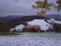 Ostatní