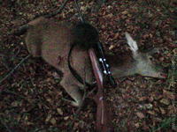 1201010298.352701.jpg