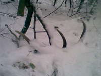 december 2007