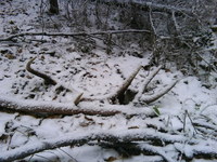 december 2009
