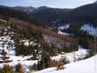 pesko