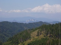 1174205412.397341.JPG