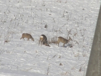 1200759935.734689.JPG