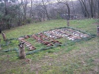 1203234612.454758.jpg