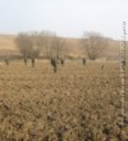 poľovačky