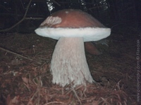 1294471650.433231.jpg