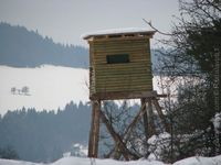 Polovnictvo