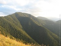 Priroda