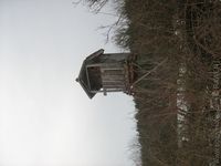 1203014930.718351.jpg