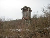 1203081316.313065.jpg