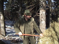prikrmovanie