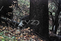 1257775471.123189.jpg