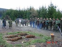 Roznov 2006