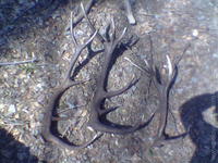 1144514830.975437.jpg