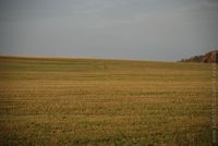 1195670642.223993.jpg