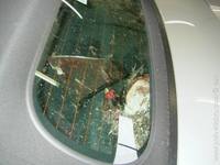 1120066168.721505.jpg