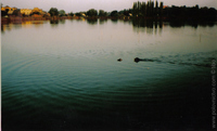 1204302400.338457.jpg